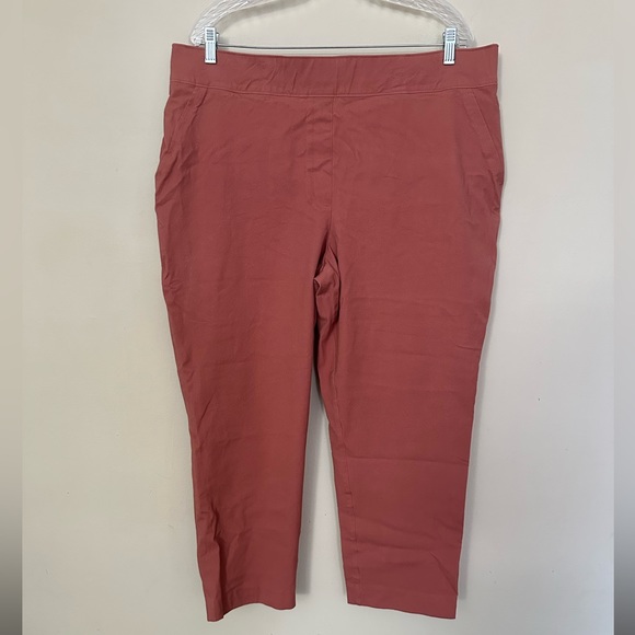 SPANX On-the-Go Ankle Slim Straight Pant! - Picture 3 of 9